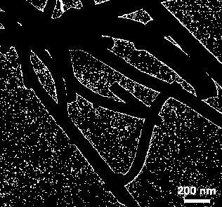 Preparation method of tin nanosphere and carbon nanotube composite electrode material, and product and application thereof