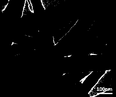 Preparation method of tin nanosphere and carbon nanotube composite electrode material, and product and application thereof