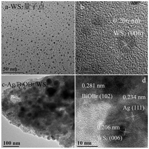Preparation method and application of tungsten sulfide quantum dot and noble metal nanoparticle co-modified bismuth oxybromide composite material