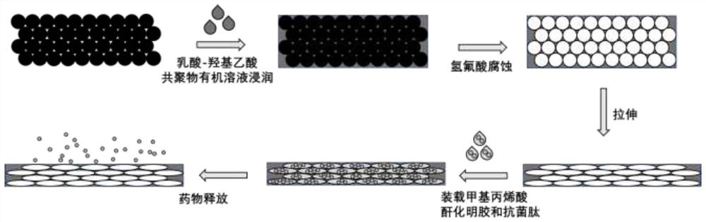 A kind of anti-opal film for inhibiting scar generation and its preparation method