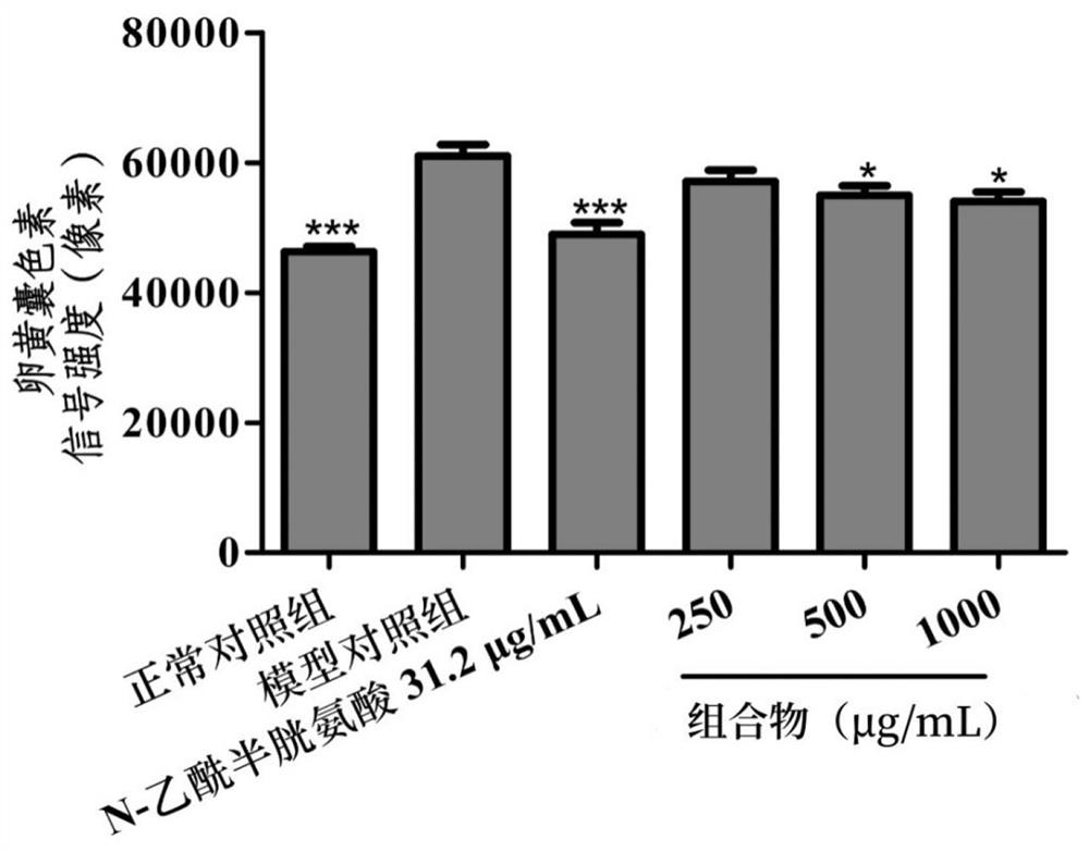 Caffeine-free tea composition with skin brightening effect as well as preparation method and application of caffeine-free tea composition