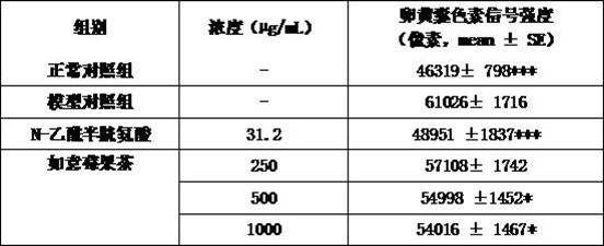 Caffeine-free tea composition with skin brightening effect as well as preparation method and application of caffeine-free tea composition