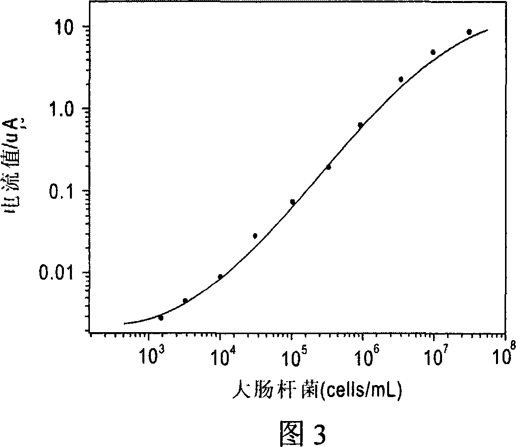 Double enzyme sensor and its preparation and uses