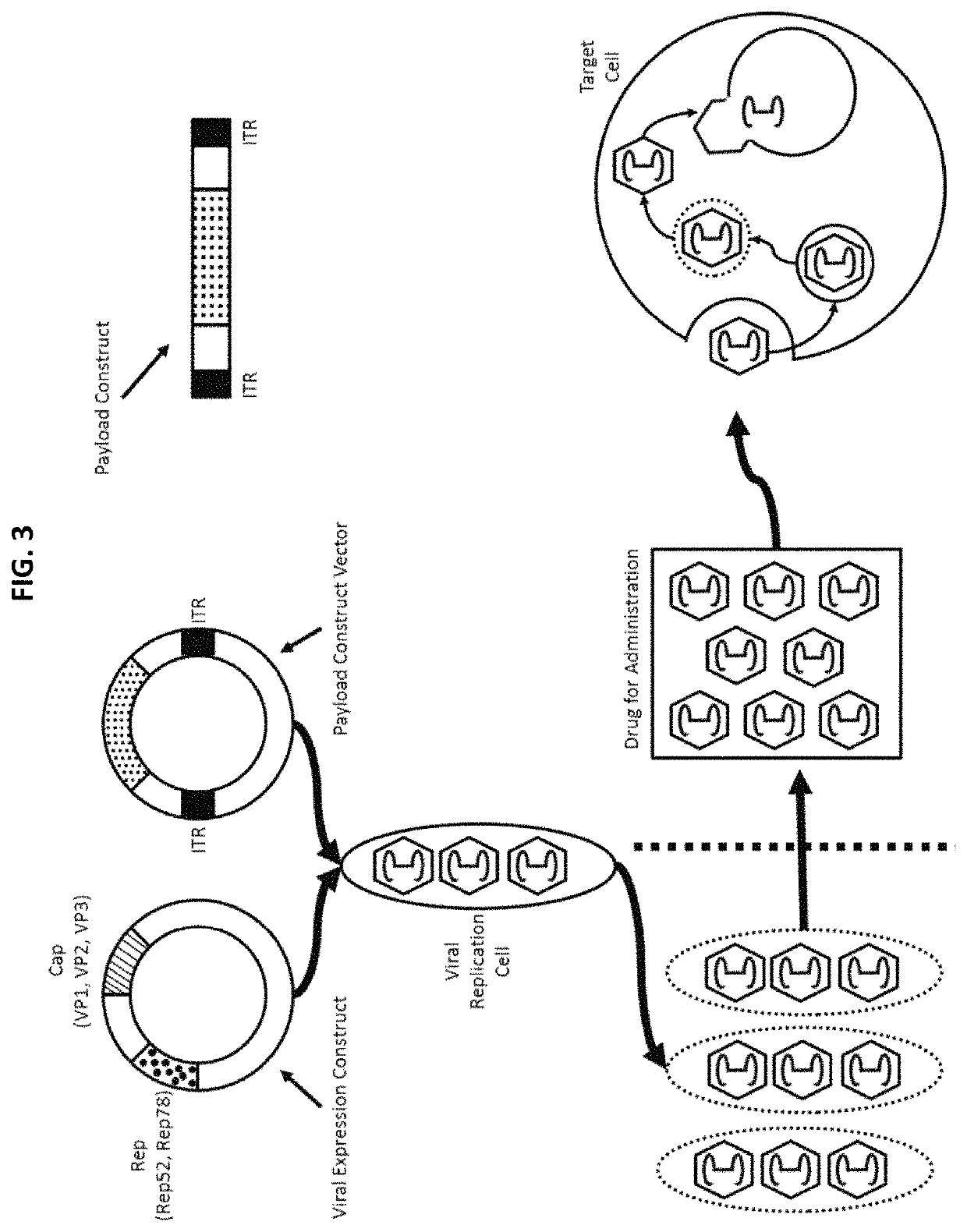 Chimeric capsids