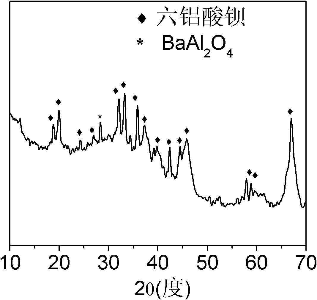 Mesoporous hexaaluminate prepared by carbon template method and having large specific surface area and preparation method of hexaaluminate