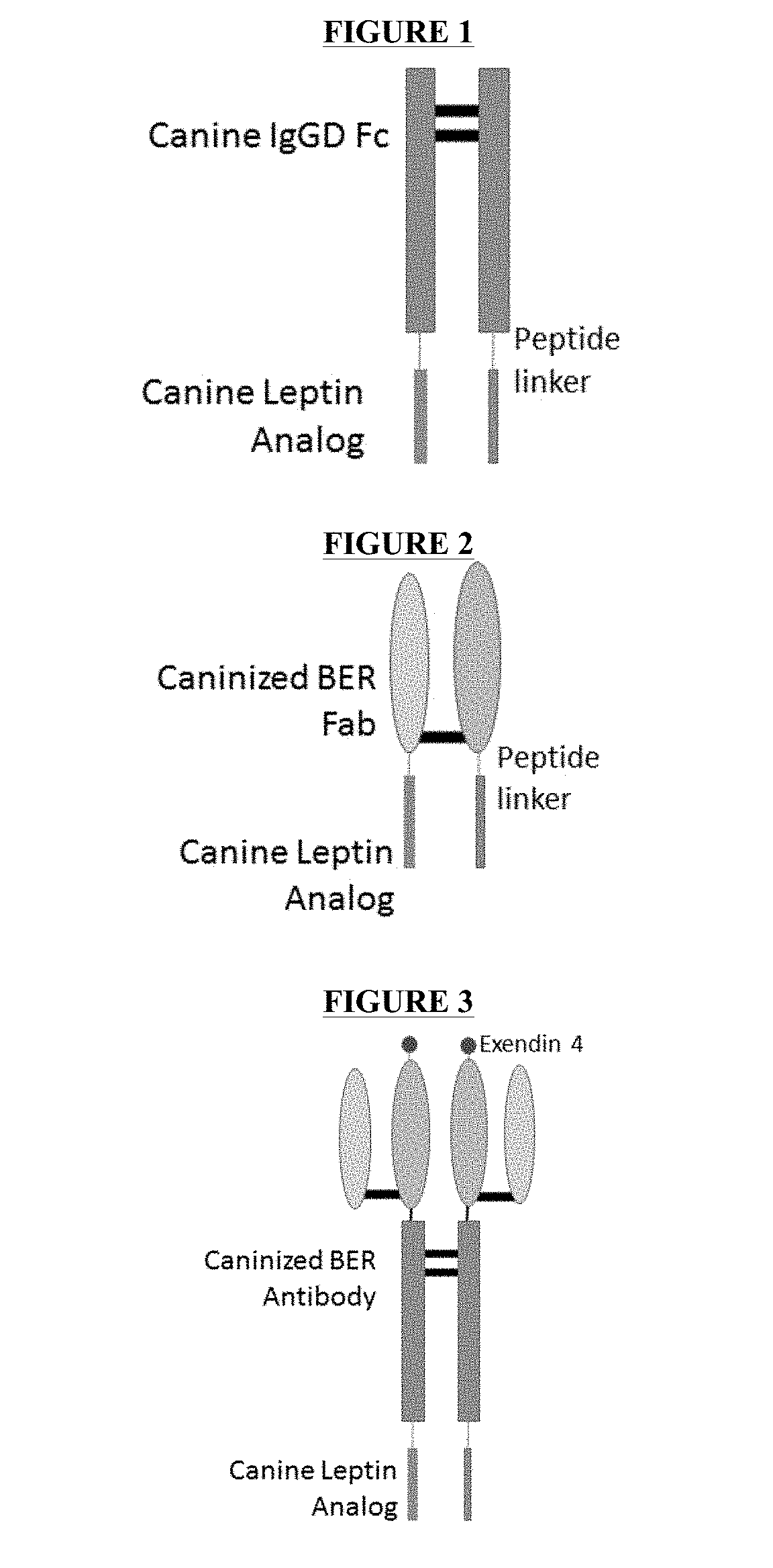 Fusion Protein Comprising Leptin and Methods for Producing and Using the Same