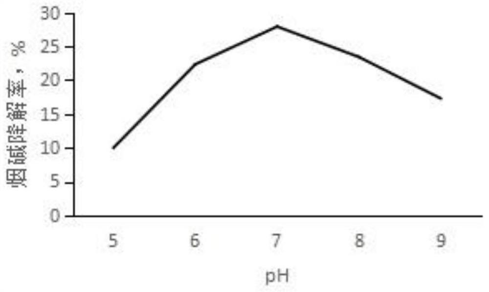 Stenotrophomonas pavanii SND01 and application thereof