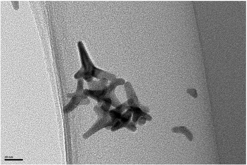 A simple small-sized gold nanostar with adjustable branch length and its preparation method