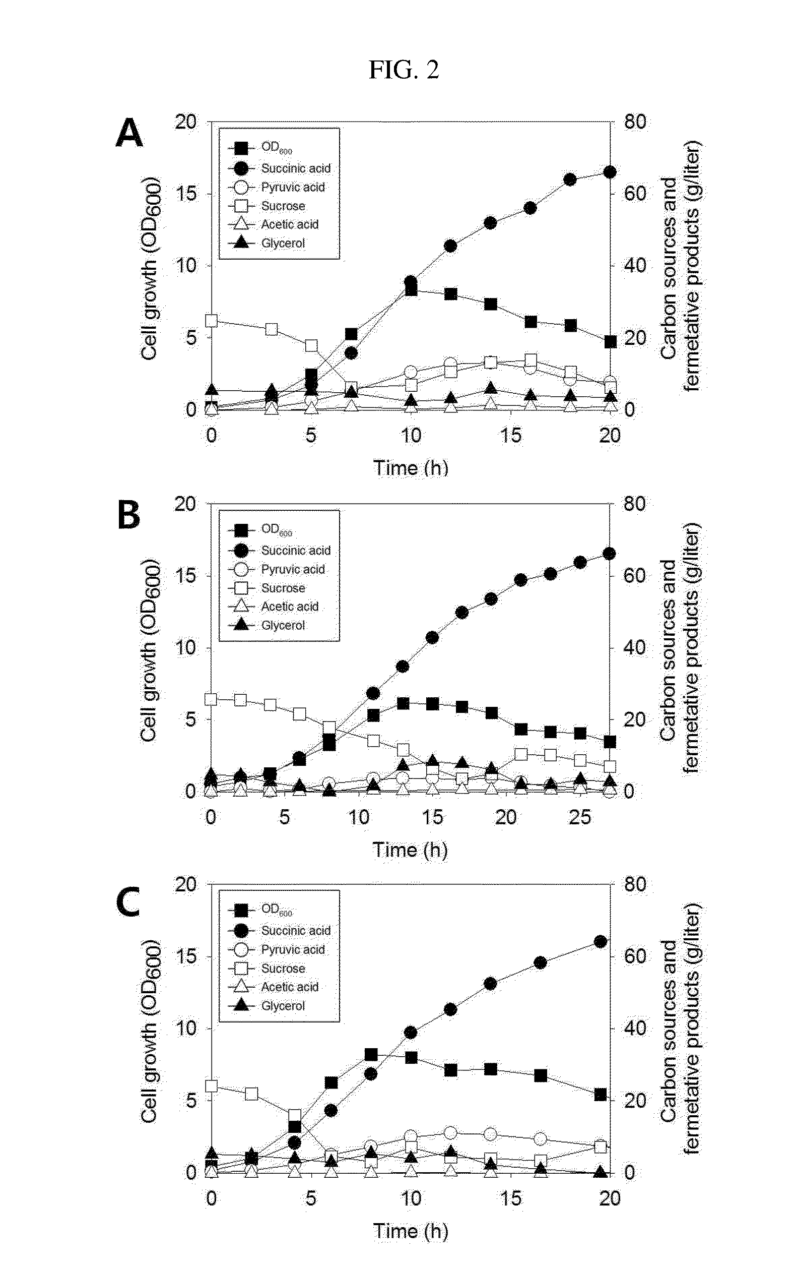 Novel mutant microorganism producing succinic acid simultaneously using sucrose and glycerol, and method for preparing succinic acid using same