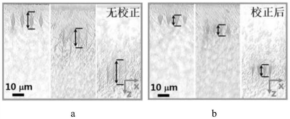 Diamond NV color center prepared through laser direct writing assisted by spatial light modulation technology, preparation method and application of diamond NV color center