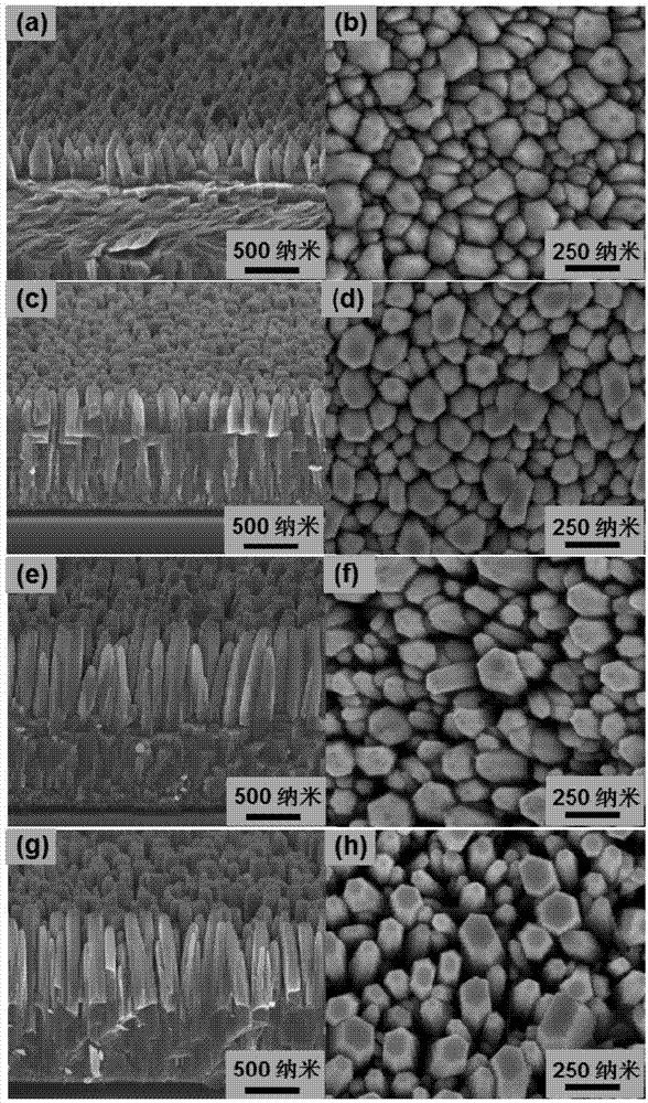 Hydrothermal synthesis method of zinc oxide nanomaterial and zinc oxide nanomaterial