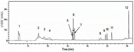 Segregation analysis method for heparan disaccharide sulfate containing FlcNH3&lt;+&gt;