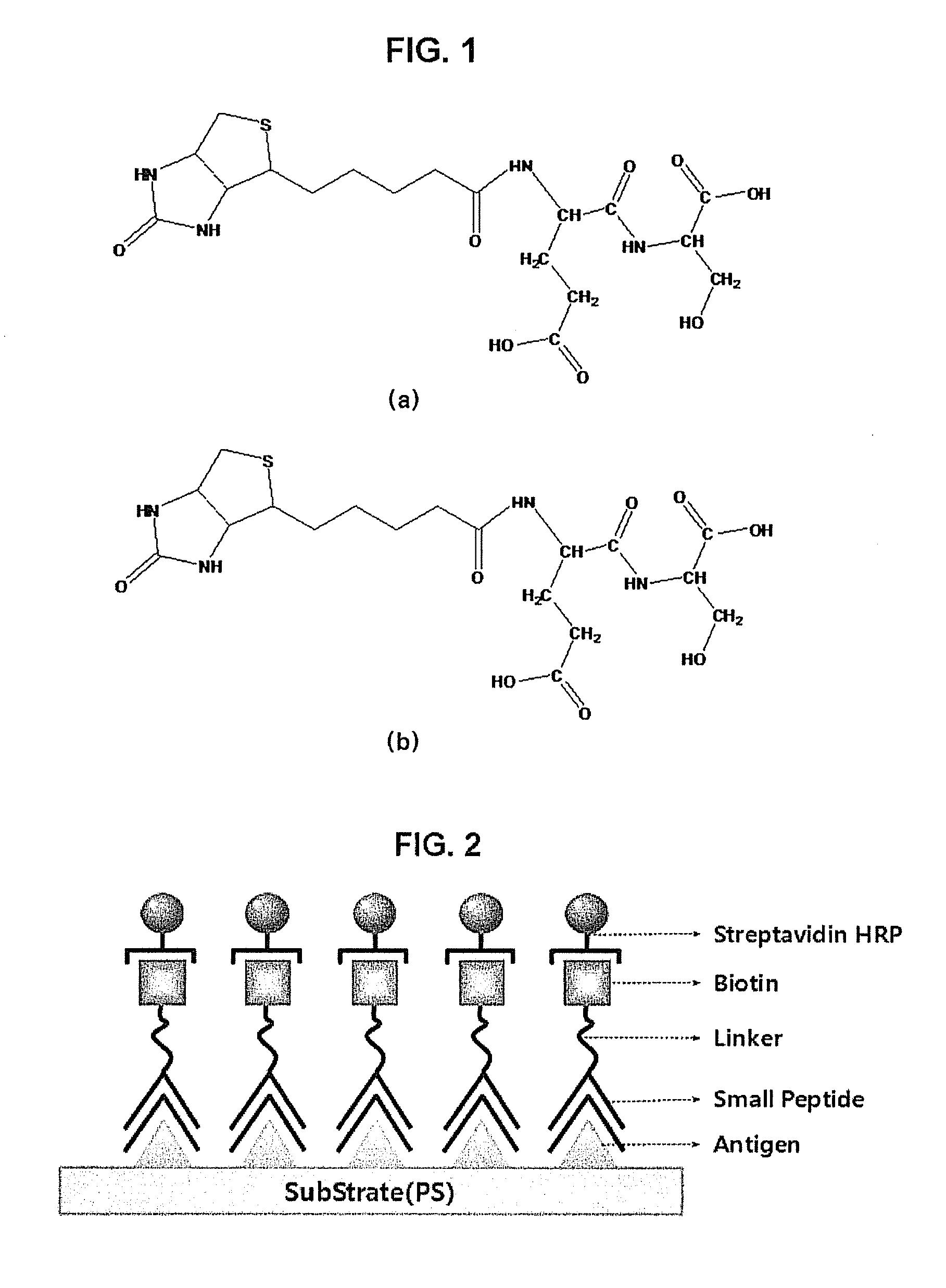 Peptide compounds for detecting or inhibiting sars coronavirus and application thereof