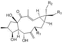 Conversion method of hydroxylated lathyrane derivatives and application of hydroxylated lathyrane derivatives to preparation of anti-tumor drugs