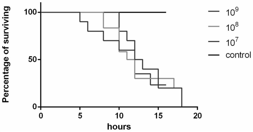 Application of a drug instead of antibiotics--melatonin against meningitis Escherichia coli pathogenic infection in children