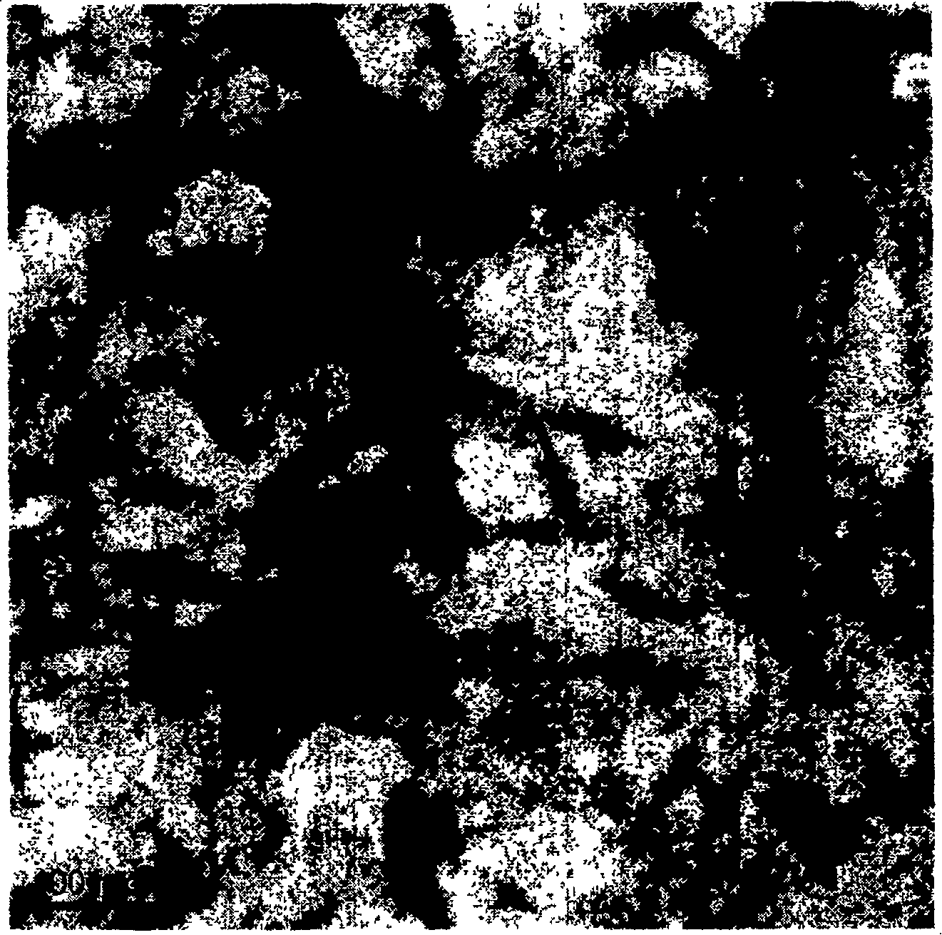 Method of preparing nano titanium dioxide crystallization induced by nano microcrystalline cellulose