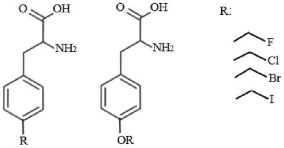 Cyclic citrullinated peptide, antigen containing cyclic citrullinated peptide, reagent containing cyclic citrullinated peptide, kit containing cyclic citrullinated peptide and application