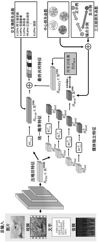 Fine-grained cross-media retrieval method based on unified double-branch network