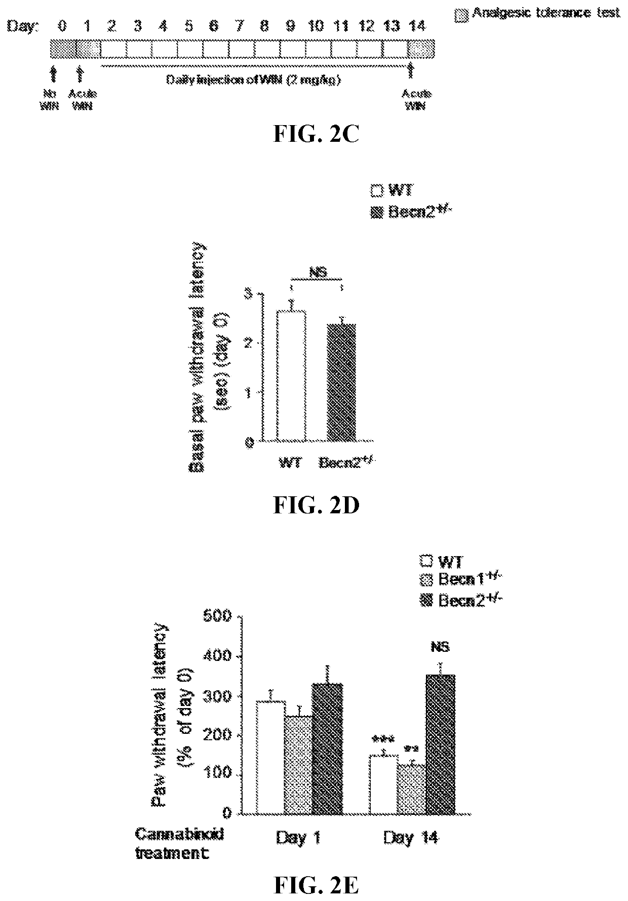 Autophagy inducers for treatment of CNS conditions
