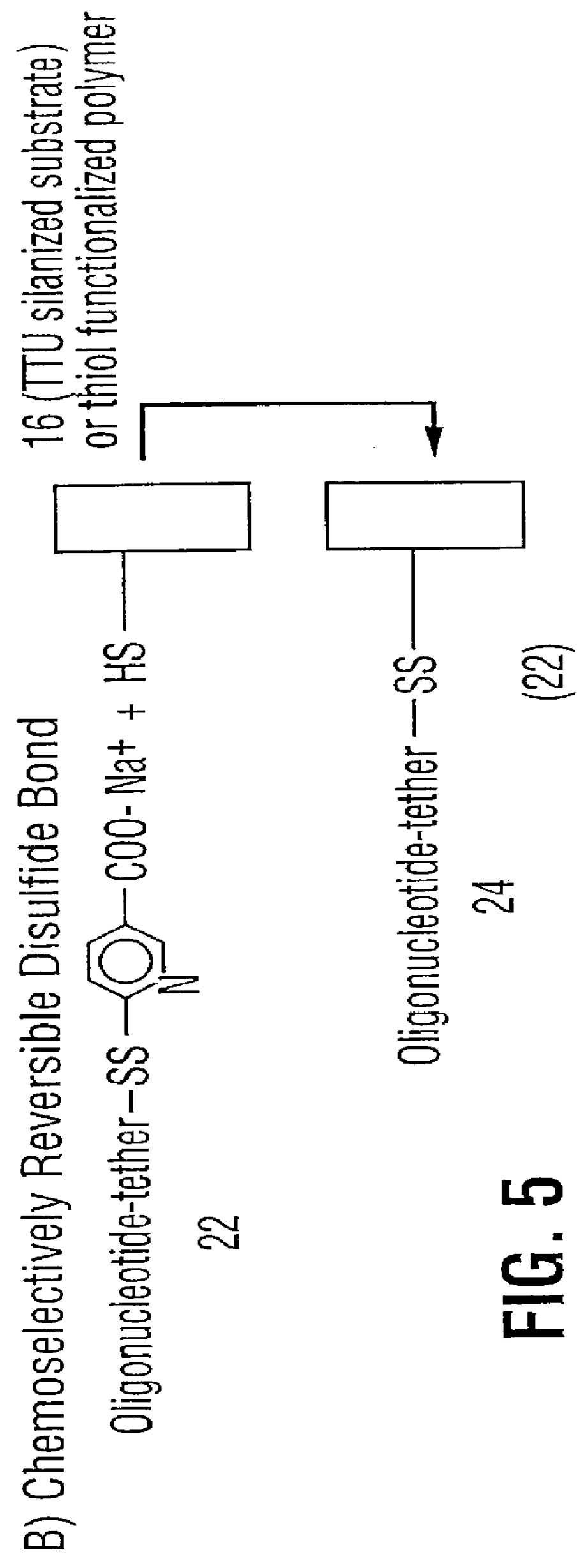 High surface density covalent immobilization of oligonucleotide monolayers