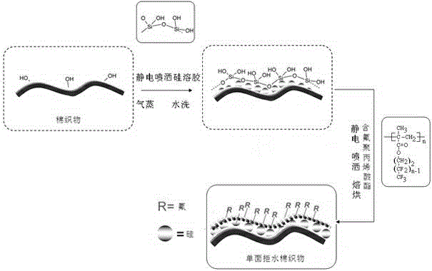 Arranging method of super-hydrophobic and hydrophilic double-faced heterologous cotton fabric