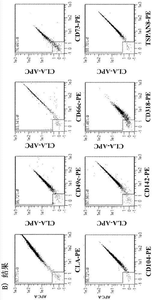 Chimeric antigen receptor specific for tumor cells