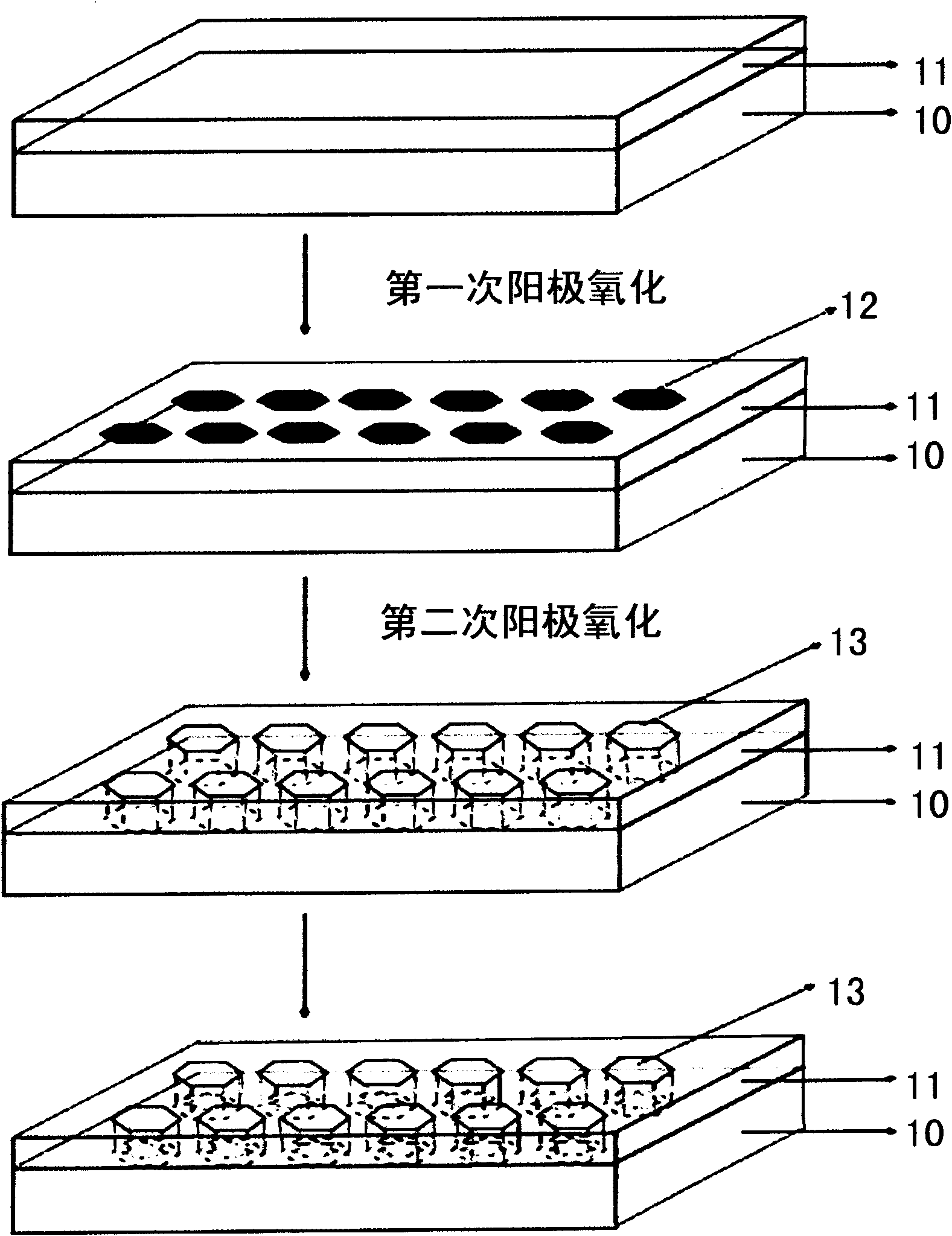 Manufacturing method of porous anodised aluminum oxide biochip