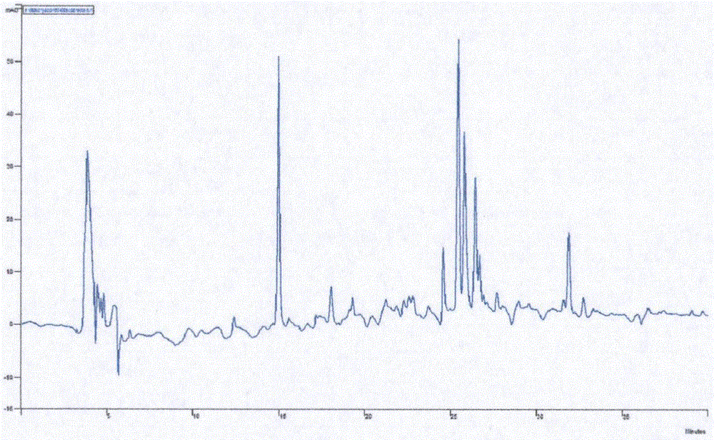 Preparation method of gnaphalium affine total flavone