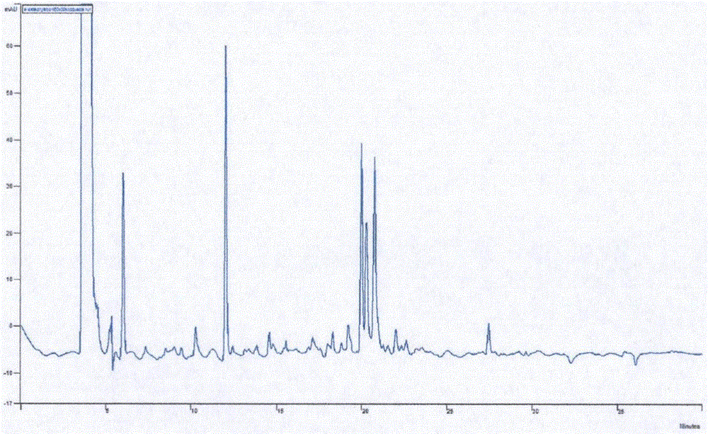 Preparation method of gnaphalium affine total flavone