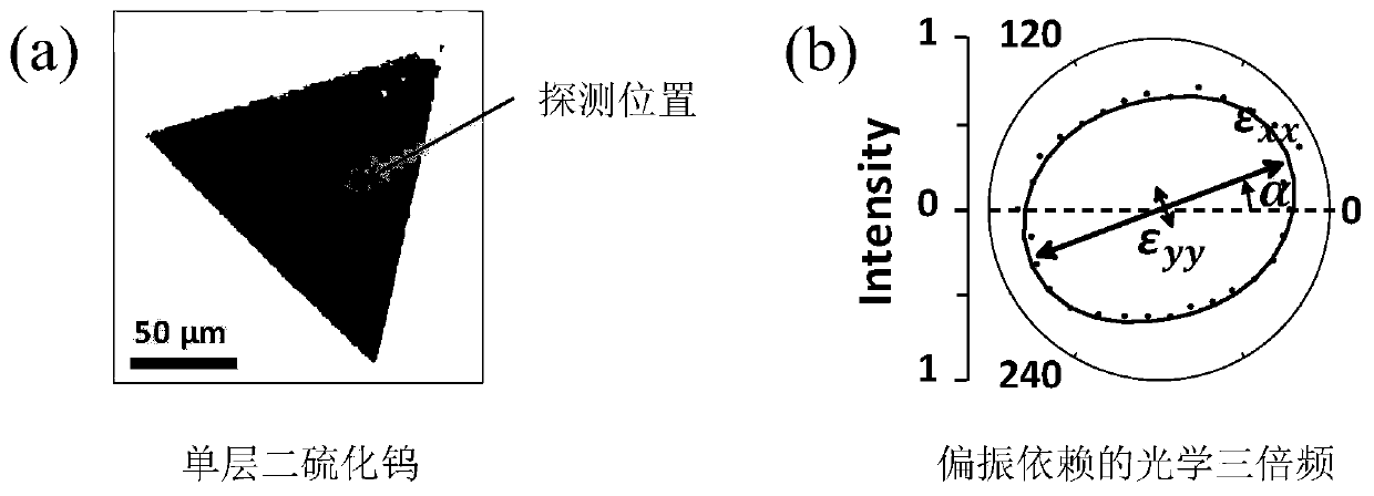 A device and method for measuring strain tensor in two-dimensional materials based on optical triple frequency