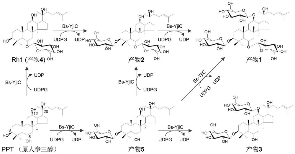 A group of synthetic methods of natural and unnatural protopanaxatriol-type ginsenosides