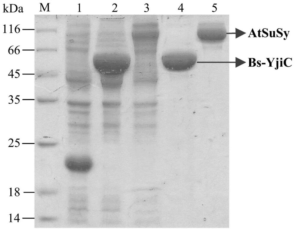 A group of synthetic methods of natural and unnatural protopanaxatriol-type ginsenosides