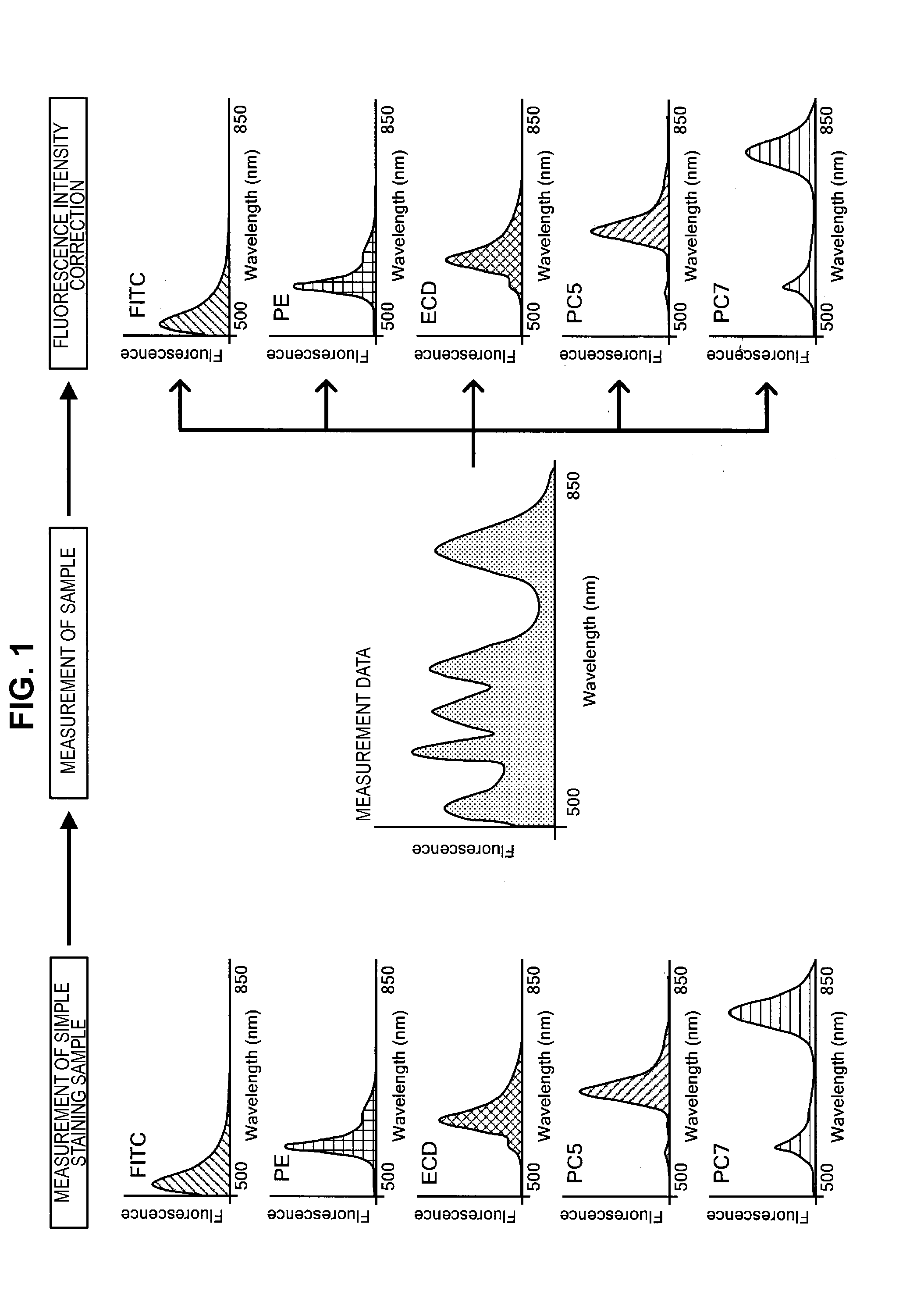 Information processing apparatus, information processing method, and program