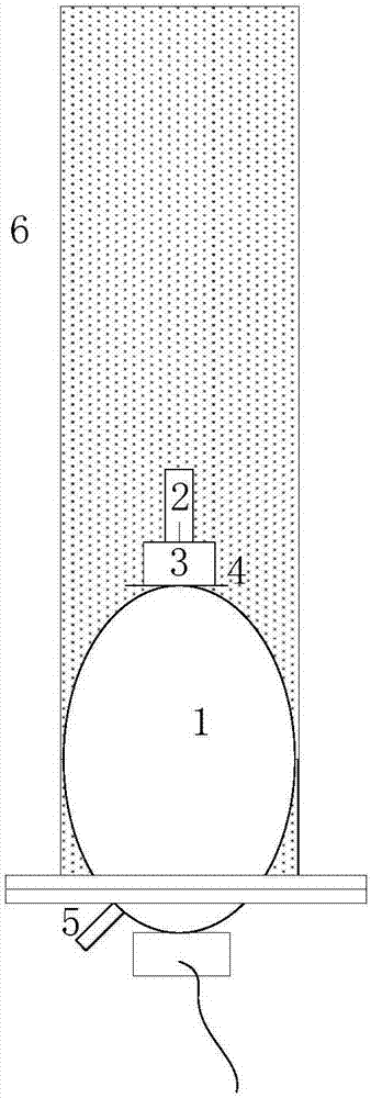 Balloon sealer and scale layer protection effect evaluation device using balloon sealer