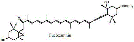 Preparation technology of high purity fucoxanthin