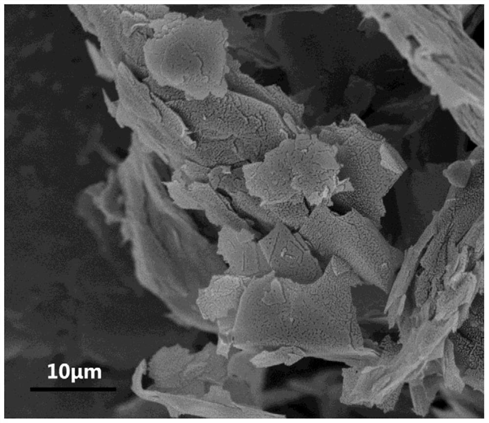 Edge modified graphene, polyolefin composition, polyolefin foaming bead and polyolefin foaming bead forming body