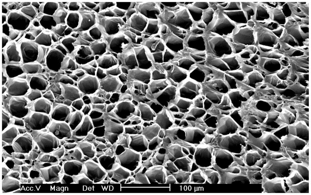 Edge modified graphene, polyolefin composition, polyolefin foaming bead and polyolefin foaming bead forming body