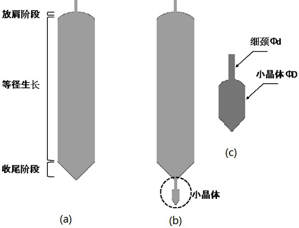 A kind of growth method of monocrystalline silicon and monocrystalline silicon