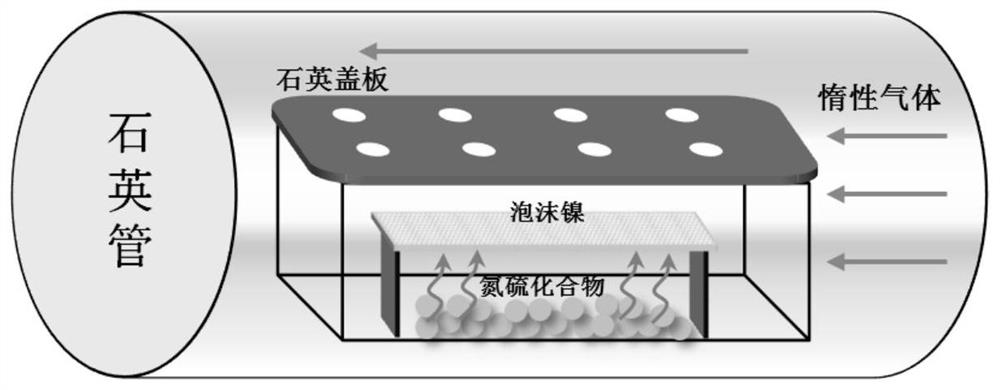 Self-supporting nitrogen-doped metal catalyst and preparation method thereof