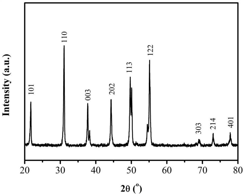 Self-supporting nitrogen-doped metal catalyst and preparation method thereof