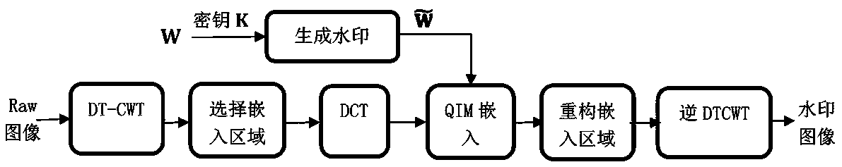 CWT-QIM digital blind watermarking algorithm for RAW format image