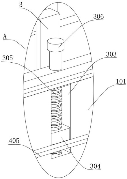 Conveyor for Chinese date processing