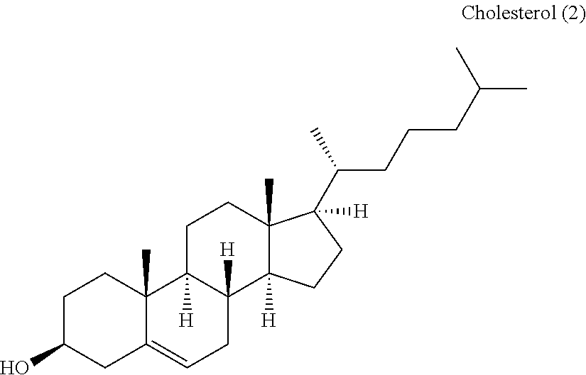 Peptides of use in the preventive and curative treatment of alopecia