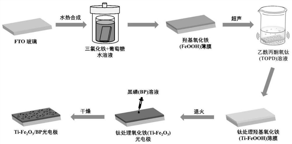 A kind of preparation method of black phosphorene modified iron oxide composite photoelectrode