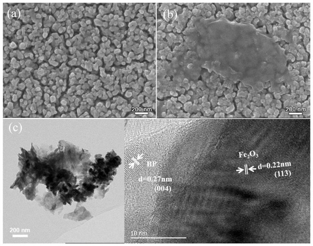 A kind of preparation method of black phosphorene modified iron oxide composite photoelectrode