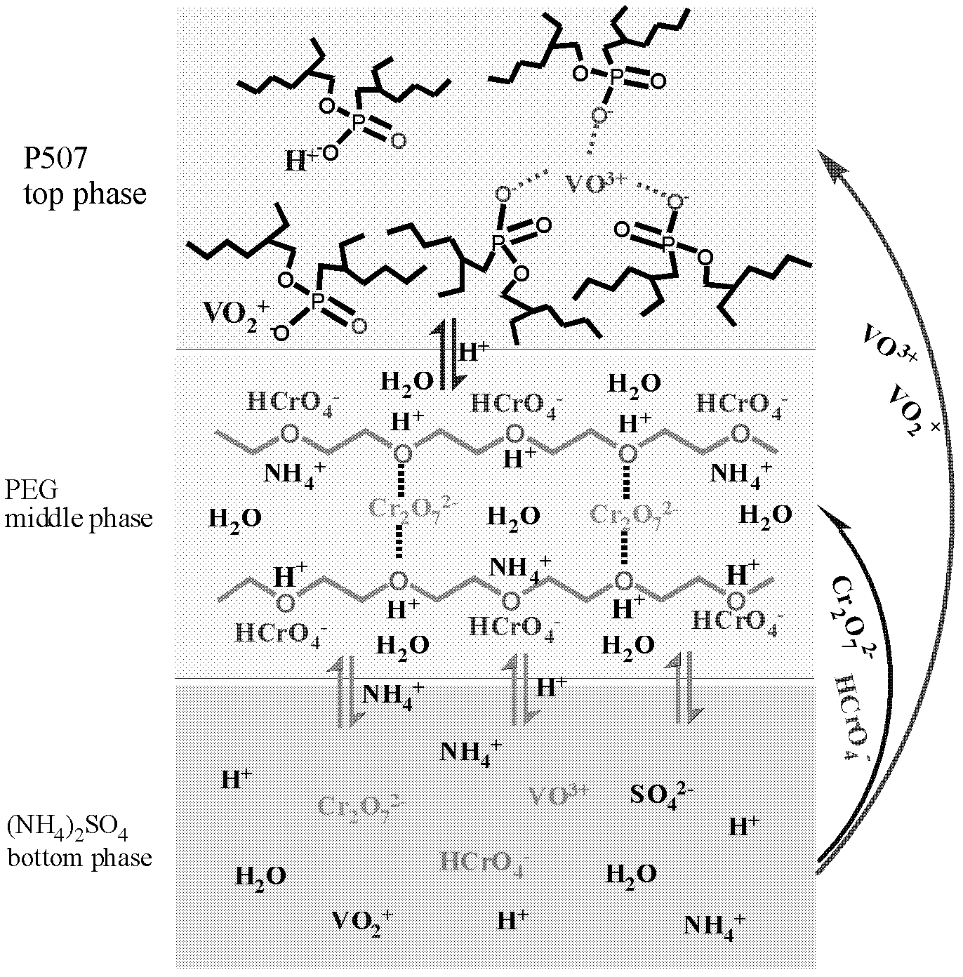 Method for extracting and separating vanadium from chromium by using three-phase system