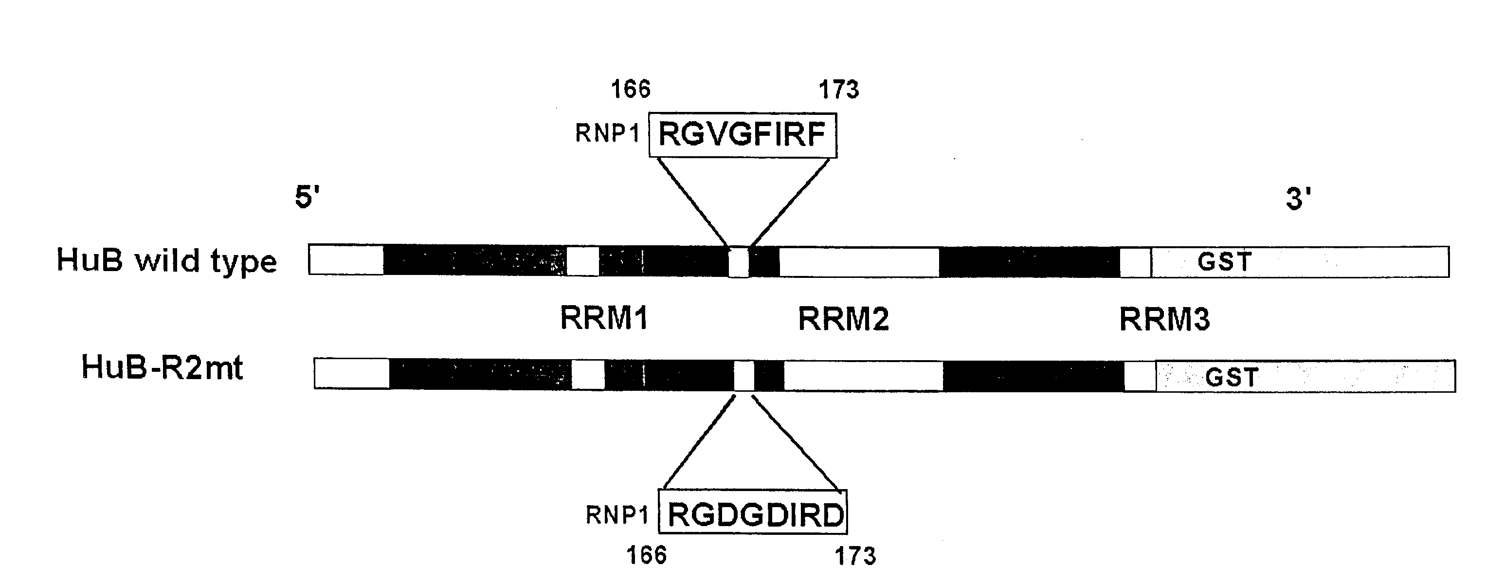 Therapeutic agent for tumor of neural origin