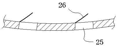 Water chestnut granulator