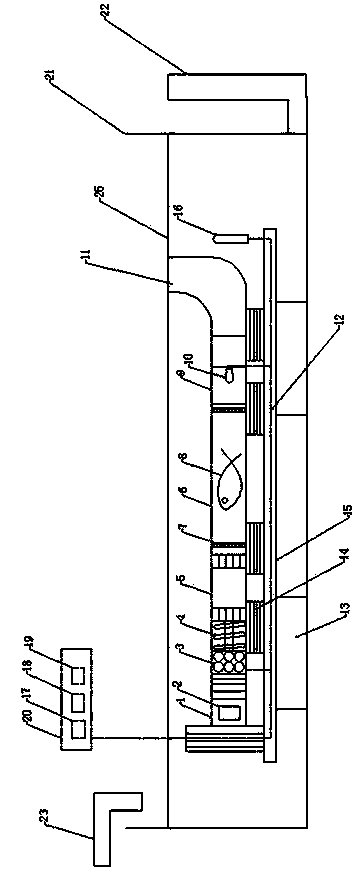 Fish swimming capability measuring method and submerged open-type testing device