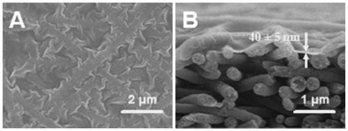 Method for preparing nanofiber-based composite nanofiltration membrane by low-temperature reverse interfacial polymerization